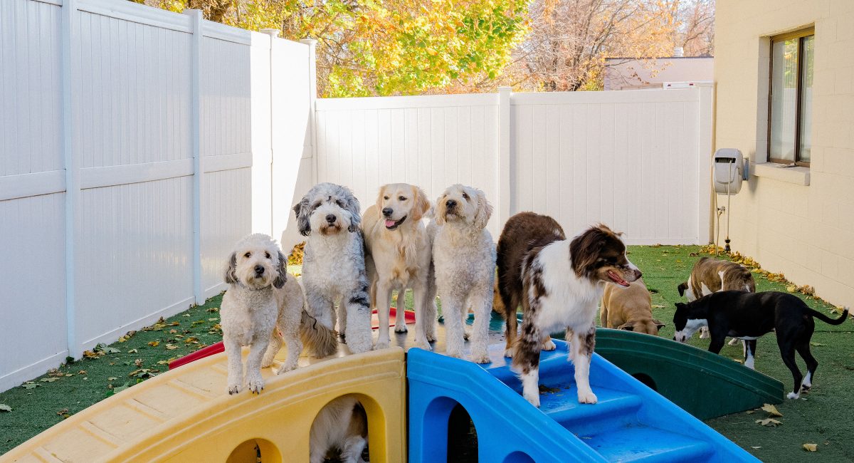 Outside Play