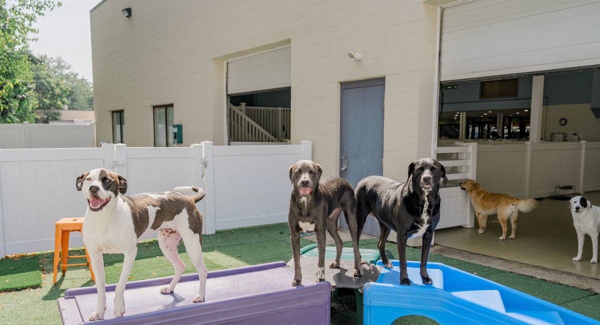 Outside Play